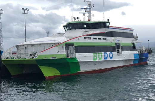 Bursa Deniz Otobüslerinin 4 seferi iptal edildi!