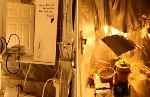 Uyuşturucu yetiştirmek için tuvalette sera kurmuş