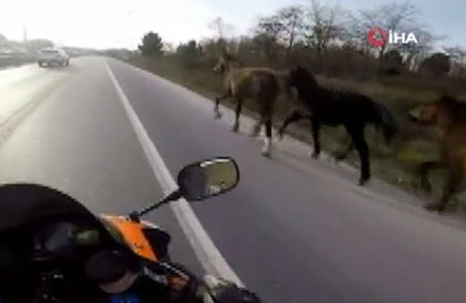 Şile yolunda motosikletli asfalt kovboyları kamerada