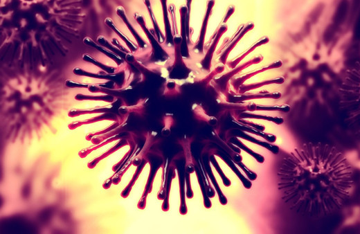 Almanya'da 35 yıl sonra ilk şap salgını: Hastalık yayılıyor