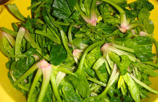 Ispanak zehirlenmesi belirtileri neler nasıl anlaşılır ilk belirtisine bakın