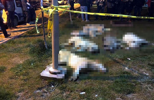 Köpek katliamında 3 kişinin serbest kalmasına yönelik itiraz reddedildi