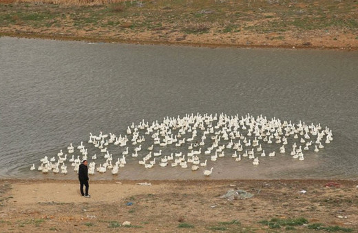 Patron olmak için işinden istifa etti! 3 ülkeye satıyor ve paraya para demiyor