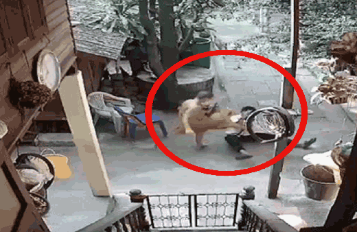 Rahip engelli adamı defalarca tekmeledi! O anlar kamerada