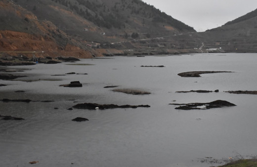 Adıyaman'da yüzen adalar görenleri şaşkına çeviriyor