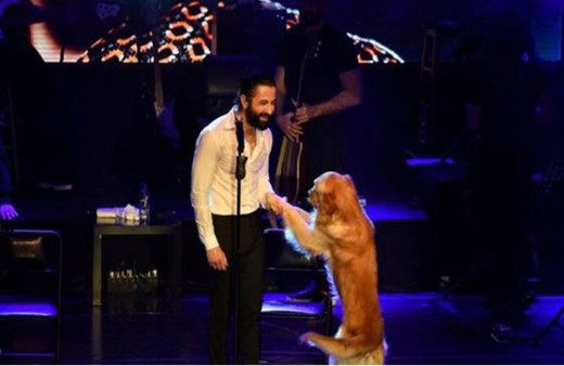Ünlü şarkıcı köpeğiyle sahne aldı