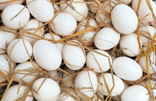 Rusya'nın Türkiye'den ithal ettiği yumurtalar ülkeye ulaştı