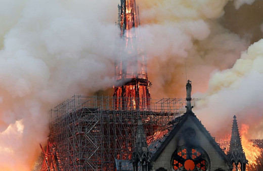 Notre Dame'ın çatısında yaşayan 200 bin arı yangından sağ kurtulmuş!