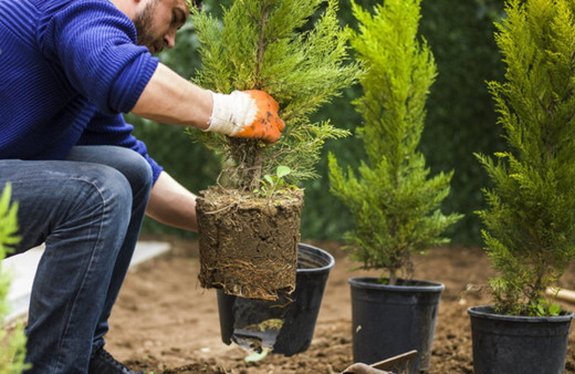 Bu işi yapması için 189 bin lira verecekler Yok artık dedirten iş