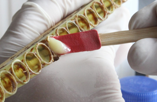 Tam bir şifa kaynağı kilosu 6 bin liradan satılıyor