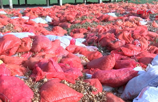 Ankara Polatlı'da tonlarca çürümüş soğan atıldı