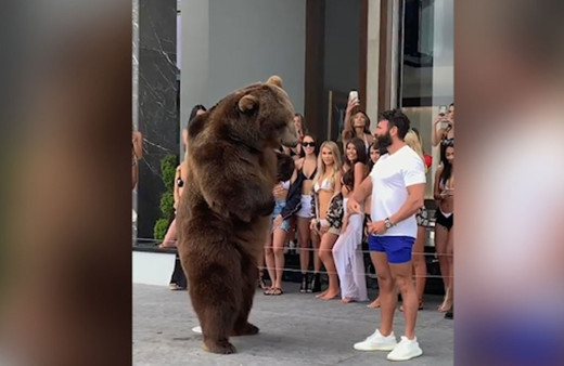Instagram Fenomeni Dan Bilzerian'dan olan yaratan parti!