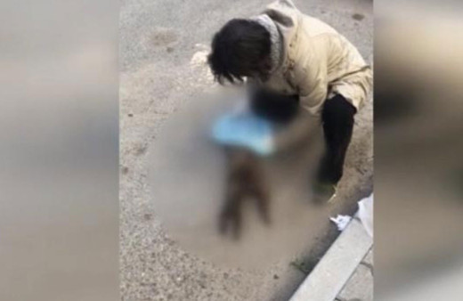 İstanbul'da kedi katili vahşeti!