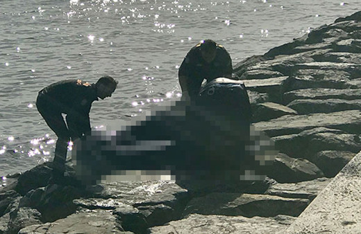 Zeytinburnu'nda denizden ceset çıktı