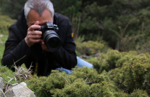 Türkiye'de ender görülüyor koparmanın cezası 60 bin lira
