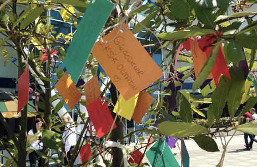 Hıdırellezde gül ağacı yoksa dilek kağıdı ne yapılır dilek duası nasıl?