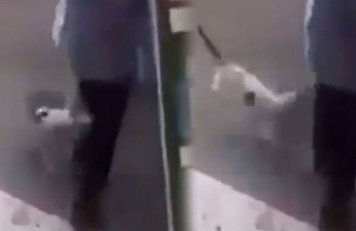 Kedinin saldırdığı belediye başkanına 100 dikiş attılar Yok artık dedirten o anlar