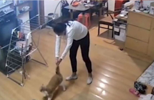 Ev arkadaşının kedisine işkence yapan kadın kamerada