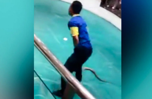 Tayland'da yılanlı gösteride talihsiz olay