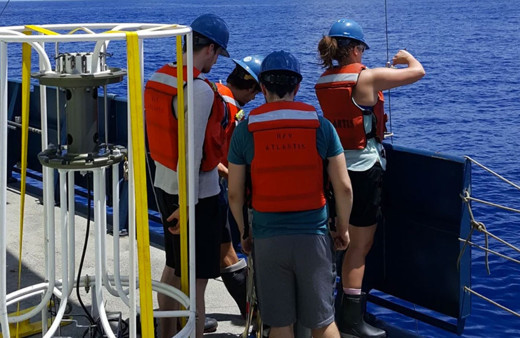 Bilim insanlarından korkutan keşif! İnsanlar için zehirli yeni bir canlı türü