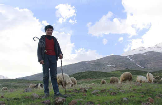 Çobanların ilkbahardaki zorlu mesaisi
