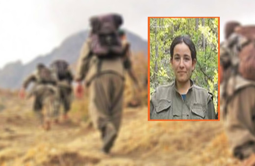 Bakanlık açıkladı! O terörist öldürüldü