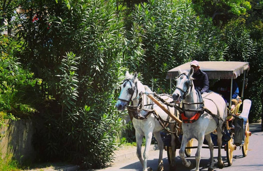 O ada artık fayton faaliyetlerine son verdi