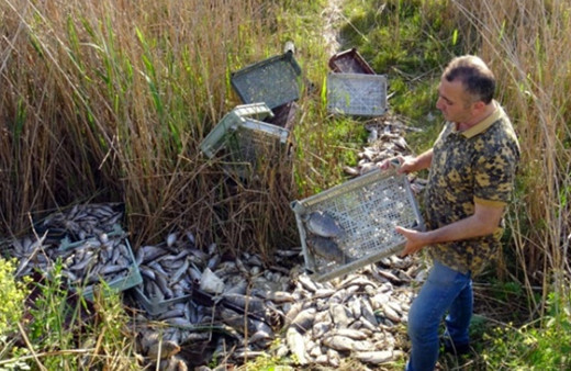 İznik sahilinden gelen kötü kokunun sebebi bulundu
