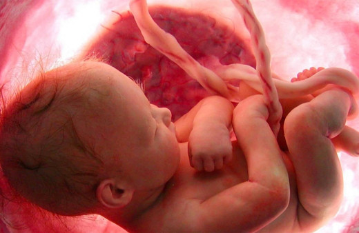 Ceninin kalbinin attığı 6 aydan sonra kürtaj yasaklandı