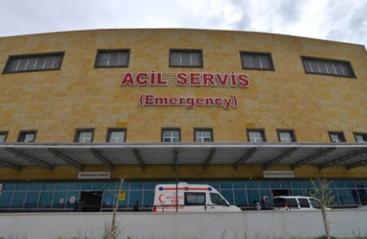 Sivas'ta kene kabusu yine baş gösterdi 2 kişi hayatını kaybetti