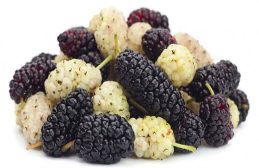 Dutun mucizevi faydaları! Birçok hastalıktan koruyor!