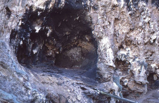 Araştırma sonuçları şaşırttı! İnsanoğlu 120 bin yıl önce bakın ne yiyormuş