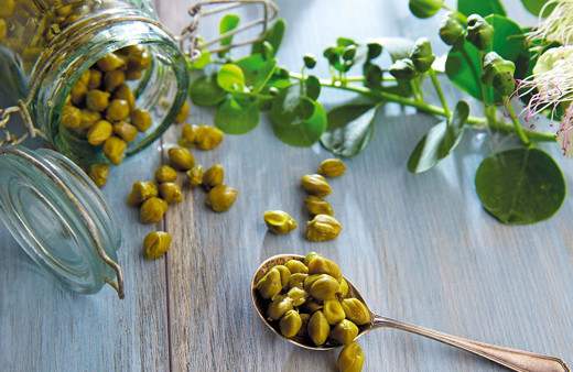 Kapari meyvesinin faydaları neler karaciğer yağlanmasını önlüyor!