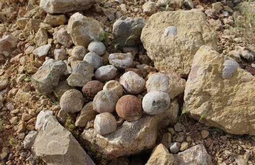 Adıyamanlı çoban çekip paylaştı yetkililer hemen oraya koştu