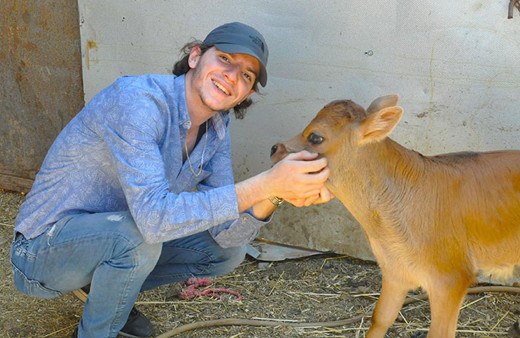 5 bacaklı buzağı görenleri hayrete düşürdü