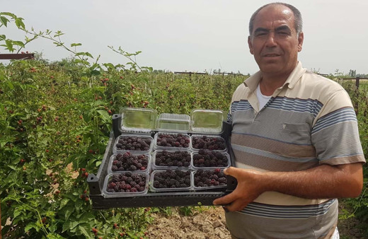 Belgeselden etkilendi, kolları sıvadı, siparişleri yetiştiremiyor