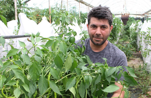 Elektronik mühendisi araştırdı buldu serasında ’Çuval’la para kazanıyor