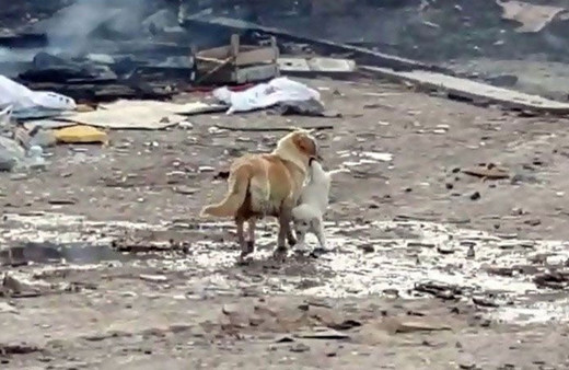 Yavrusunu alevler arasından böyle kurtardı