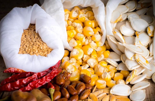 Atalık tohum ürünleri çok yakında marketlerde