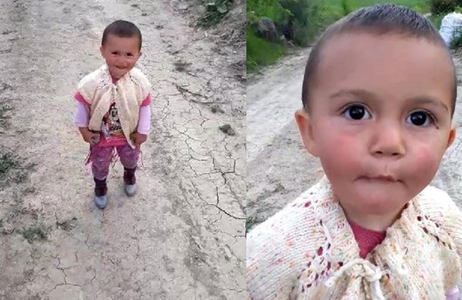 Ecrin için kadavra köpeği 'Abrek' ile arama