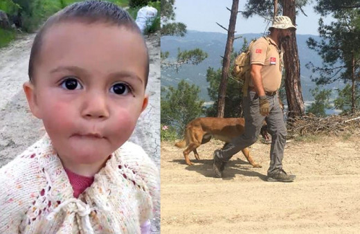 Minik Ecrin'i arama çalışmalarında yeni gelişme