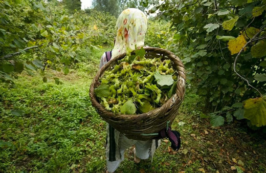 Latin Amerika: Dünyada en iyisi Türkiye'de