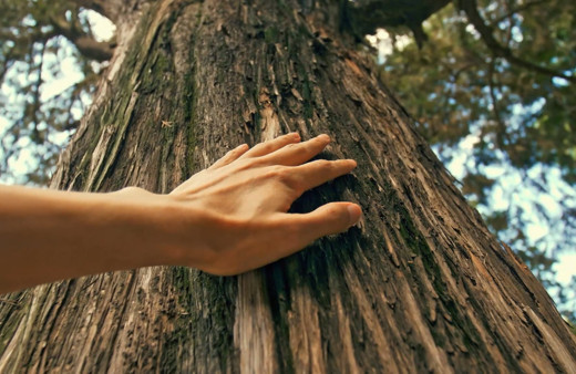 5 Haziran Dünya Çevre Günü kutlu olsun
