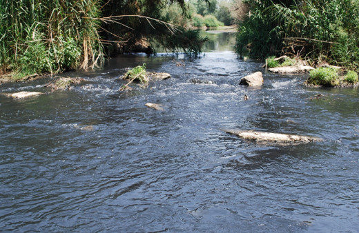 Ege'nin can damarından zehir akıyor