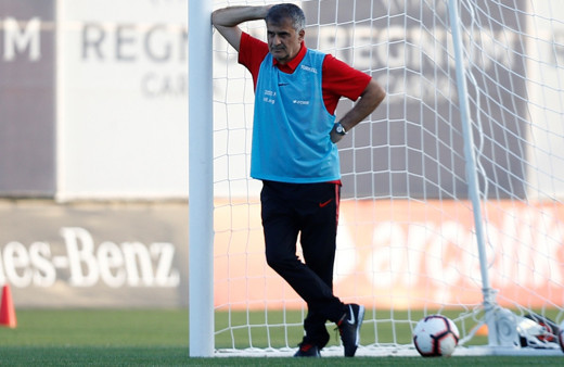Şenol Güneş'ten kritik Fransa maçı açıklaması