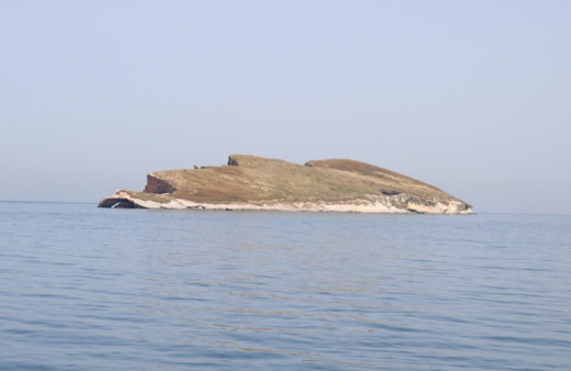 Atatürk Adası’na büyük ilgi! Bakın hangi ilimizde