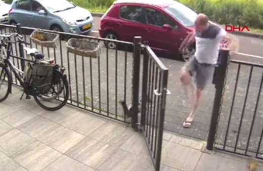 Bahçedeki kediye önce köpeği, sonra kendisi saldırdı