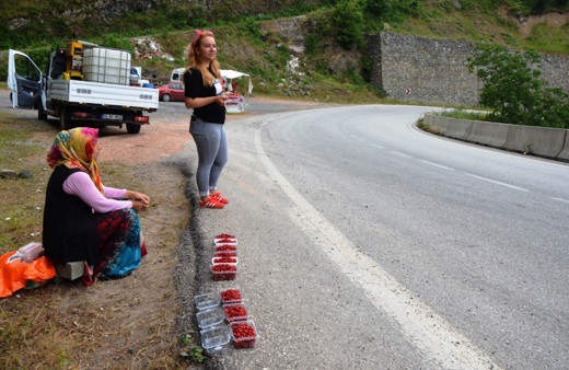 En büyük hasadı 3 kilo taleplere yetişilemiyor