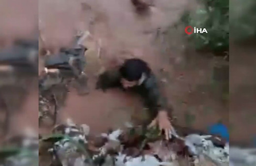 Canını hiçe sayıp yavru köpekleri selden böyle kurtardı!