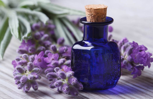 Lavanta yağı baş ağrısı uykusuzluk depresyon ve yaraya iyi geliyor